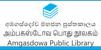 Amgasdowa Public Library